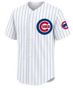 Chicago Cubs Bear Graphic Jersey - Creative Streetwear Style